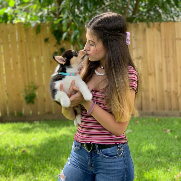 Meet your Posher, Jordyn - Picture 1 of 1